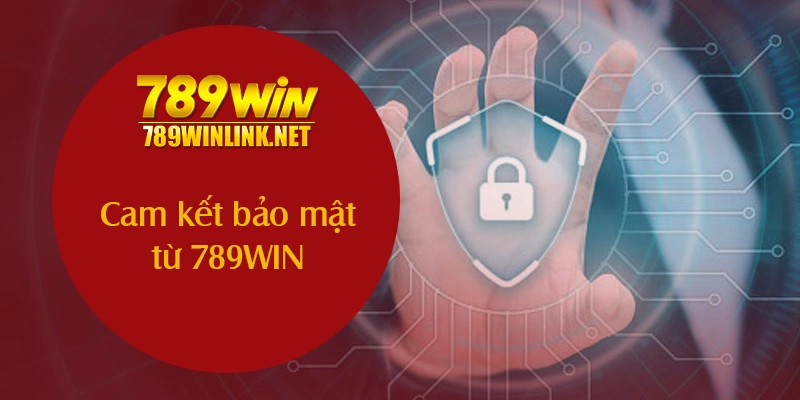 Cam kết bảo mật từ 789WIN